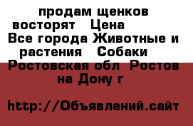 продам щенков восторят › Цена ­ 7 000 - Все города Животные и растения » Собаки   . Ростовская обл.,Ростов-на-Дону г.